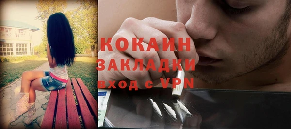 твердый Надым