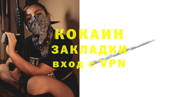 гашик Михайлов