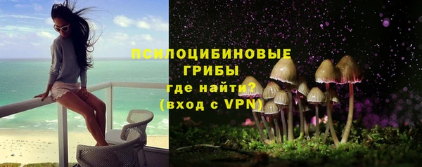 apvp Балахна