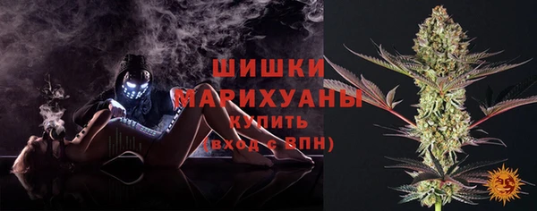 твердый Надым