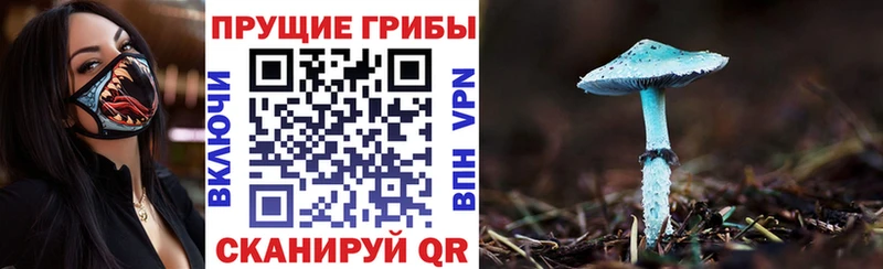 это как зайти  OMG онион  Калач  Галлюциногенные грибы Cubensis 