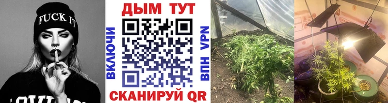 Каннабис OG Kush даркнет сайт Калач